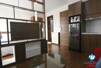 An Amazing 1 bedroom studio in soughtly for rent in Ba Đình